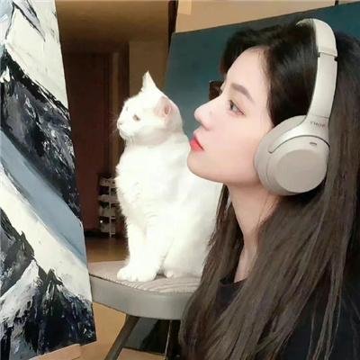 探灵档案